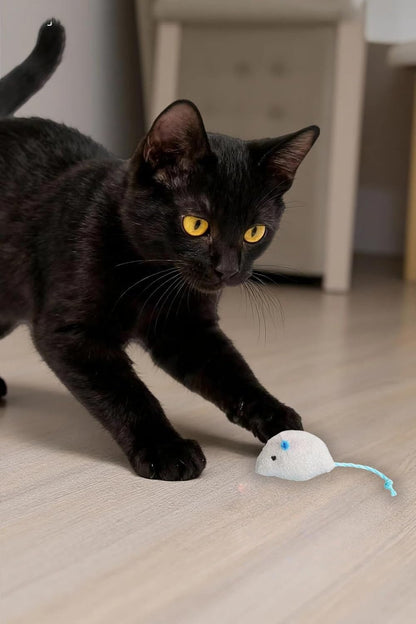 Plush Interactive Cat Toy Mouse Set, White and Brown Catnip Mice with Rope Tail, 3.94 Inch Length, Indoor Pet Entertainment Toys