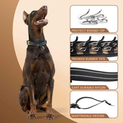 Hidden Prong Collar, Heavy Duty Martingale Design with Quick Release Metal Buckle, Nylon Slip Anti Pull Pinch Collar for Dog Behavior Training, Adjustable for Medium to Large Dogs.