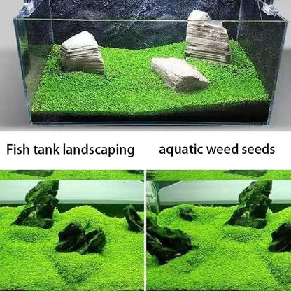 4 Bags Aquarium Plant S.e.e.ds, not Artificial Plastic Plant, Fish Tank Live Grass for All Substrate