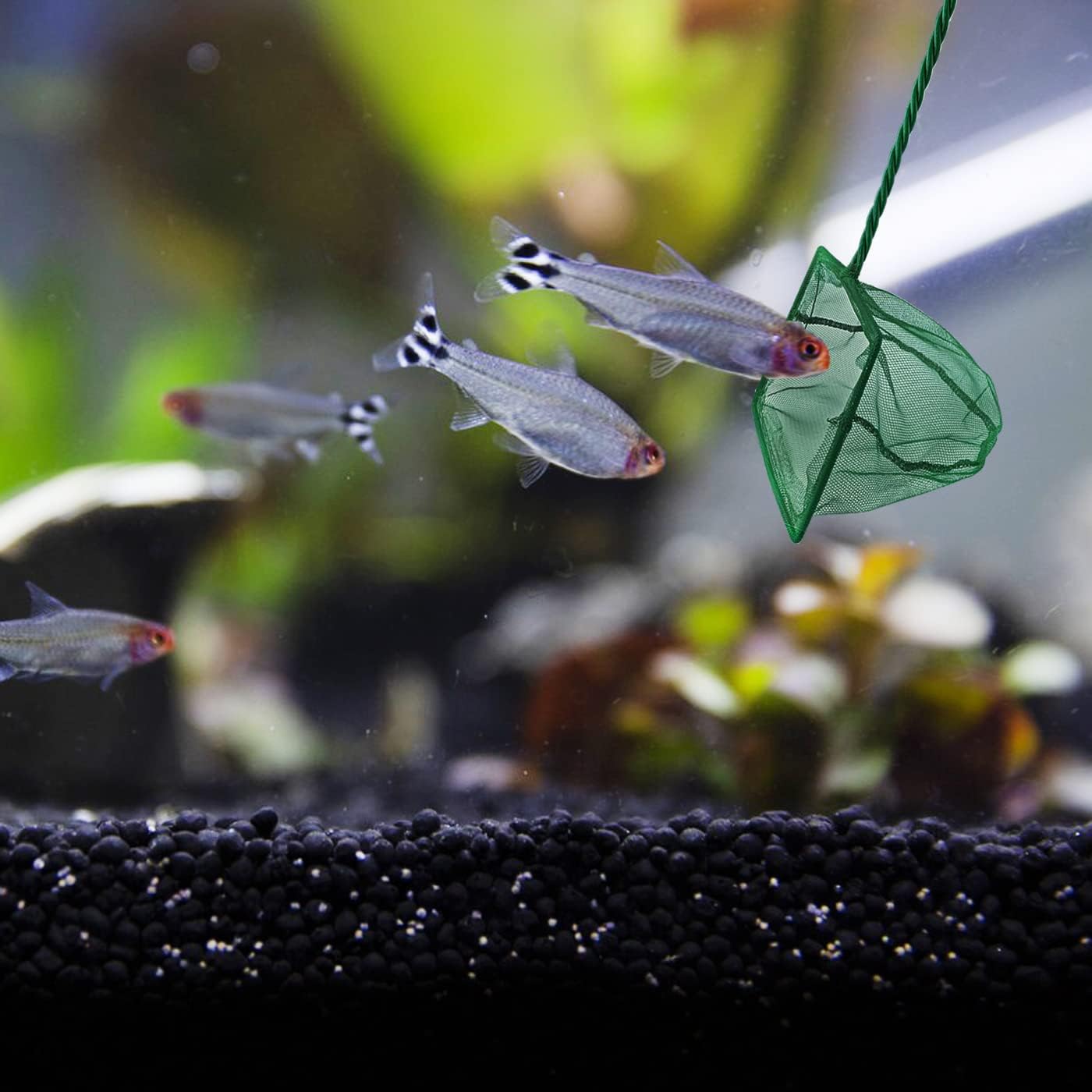 5 Pack Aquarium Fish Net, Multi-Size Fine Quick Fish Catch Nets Nylon Fishing Mesh Nets with Long Plastic Handle for Fish Tank - Green (3in, 4in, 5in, 6in, 6in)