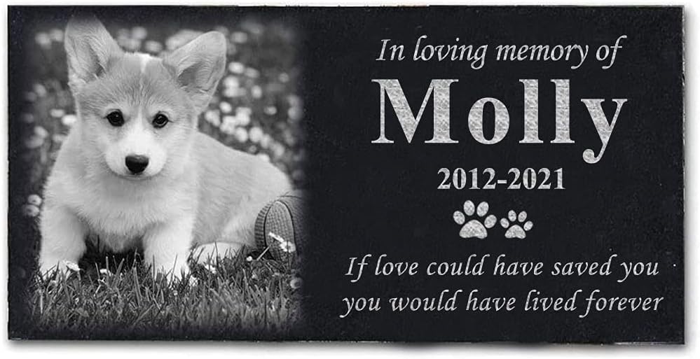 ODB Personalized Pet Memorial Stones, Black Granite Memorial Garden Stone Engraved with Photo, Gifts for Someone Who Lost a Loved One, or Pet, Dog, Cat (with Photo)