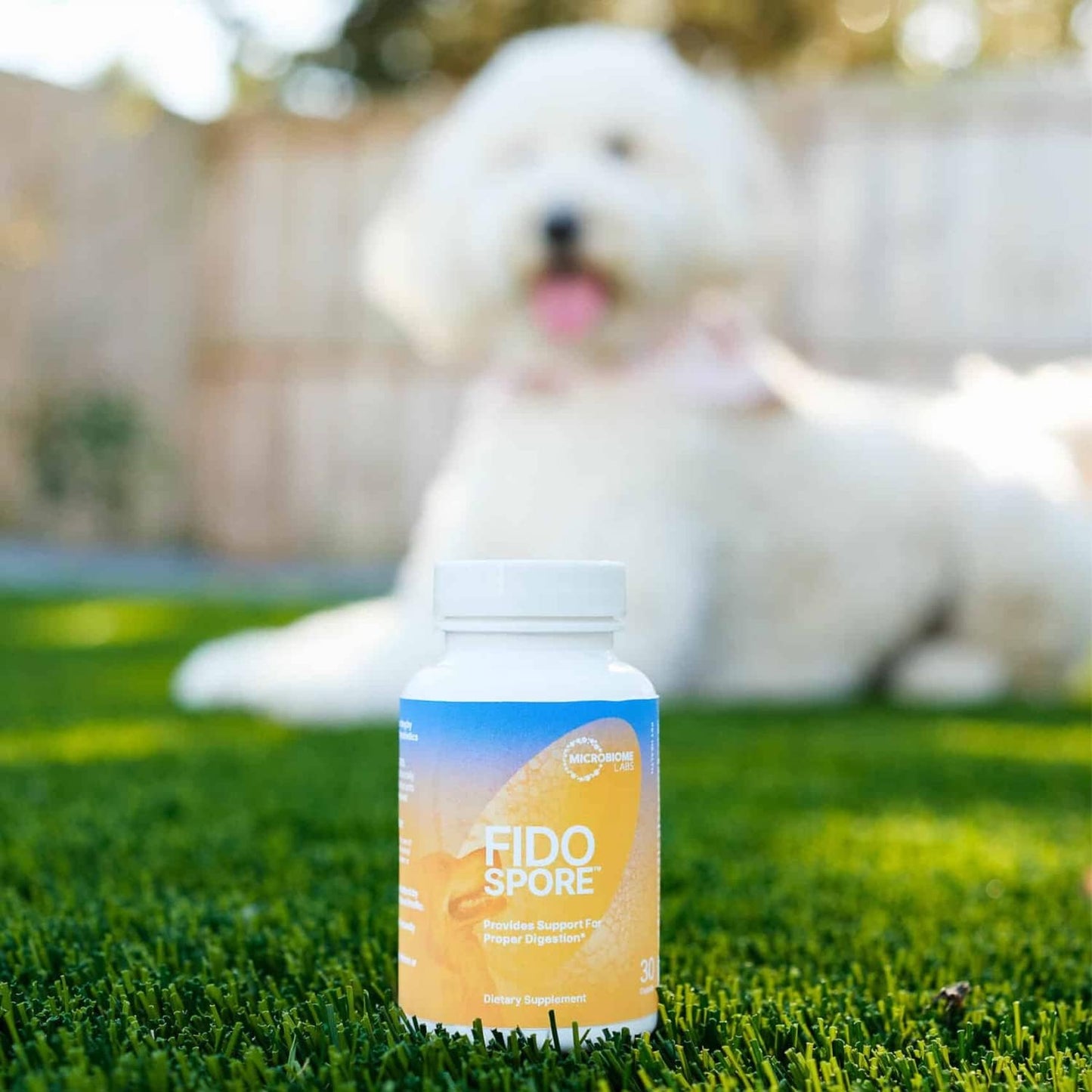 Microbiome Labs Fidospore - Dog Probiotics for Digestive Health & Immune Support - Spore-Forming Pet Probiotics for Dogs & Cats Gut Health - Flavored with Grass Fed Beef Liver (30 Capsules)