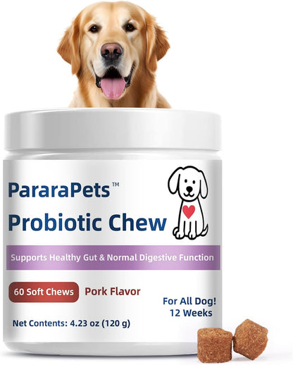 Probiotics for Dogs,Dog Probiotic Supplements,Canine Nutritional Supplement,Health Supplies,Gastrointestinal Health Promotes Digestion and Nutrient Absorption, 90 Soft Chews