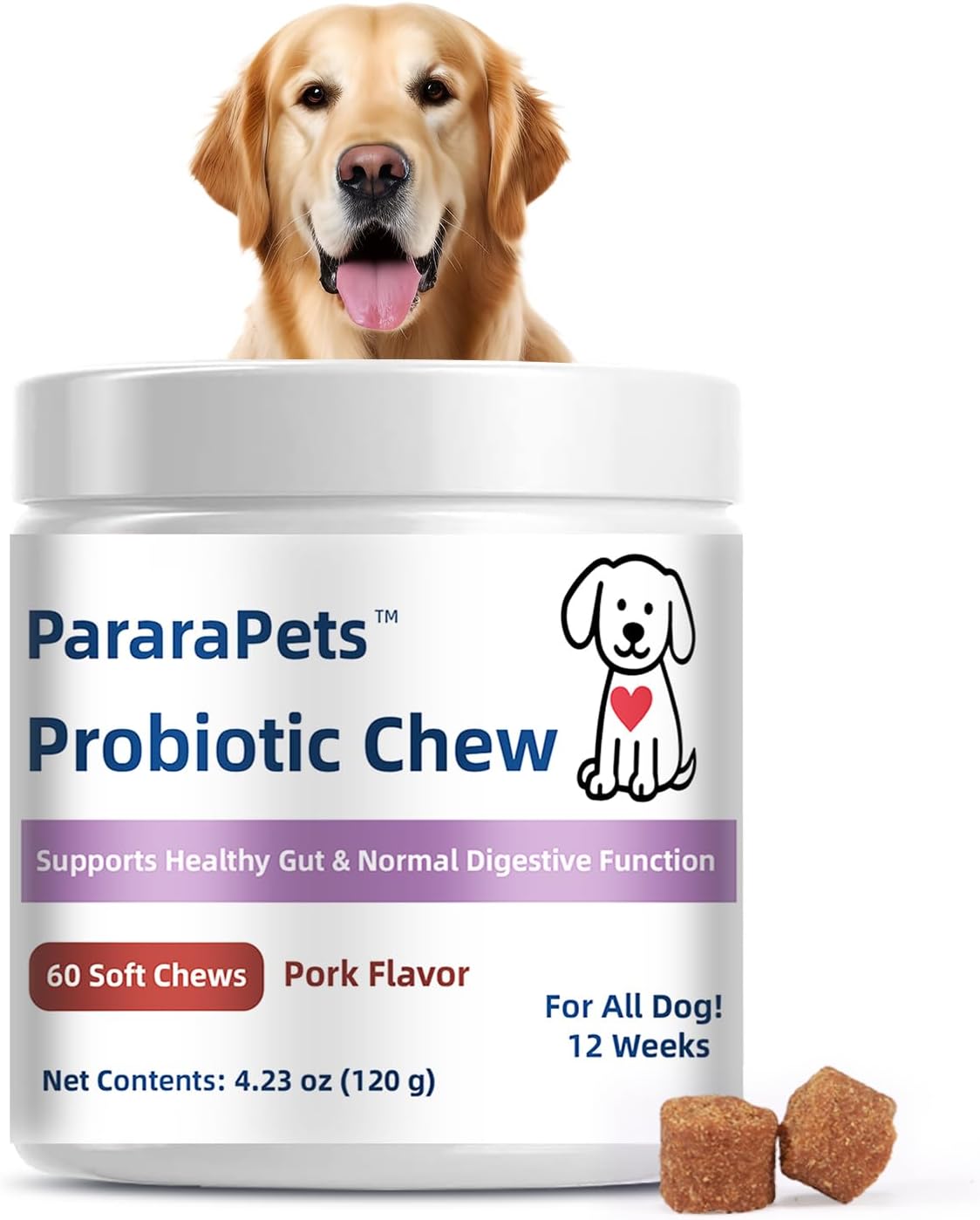 Probiotics for Dogs,Dog Probiotic Supplements,Canine Nutritional Supplement,Health Supplies,Gastrointestinal Health Promotes Digestion and Nutrient Absorption, 90 Soft Chews
