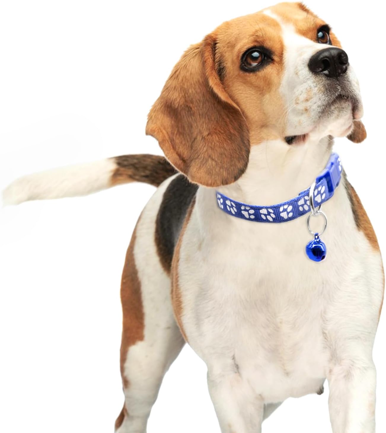 Quacc 6pcs Puppy Collars, Puppy Whelping Collars Colourful Adjustable Dog Collar 19-32CM Paw Print Collar with Bell for Small Dog Cats