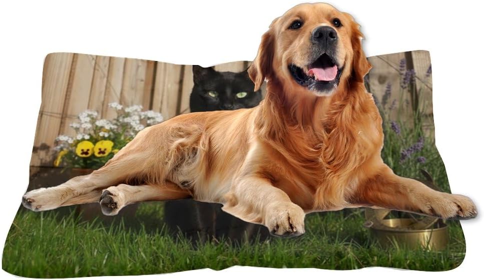 Black Cat Garden Washable Dog Bed Small Furniture Dog Crate Mat Kennel Pads Crate Bed Washable Non-Slip Bedding Beds for Crates Mats for Cages Pet Cushion Indoor Outdoor 36X24 Inch