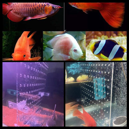 Aquarium Fish Tank Divider Acrylic Isolation Grid Board with Suction Cups Transparent Plate Baffle Cover Clear Fish Separator Inline Splitter Pump Tubing Connector Board 15.7x11.8x0.08 Inch