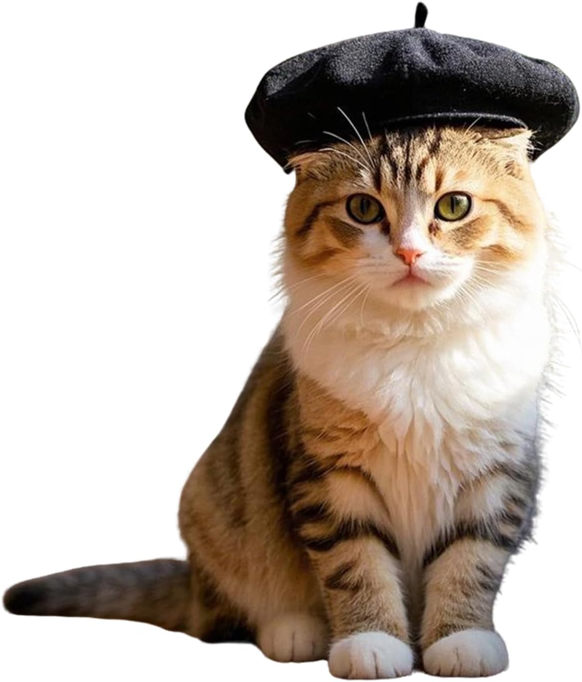 Pet Beret Hat Cute Dog Cap Funny Artist Cat Hats Small Puppy Kitten Hair Accessory for Birthday Christmas Photography (Black, S)