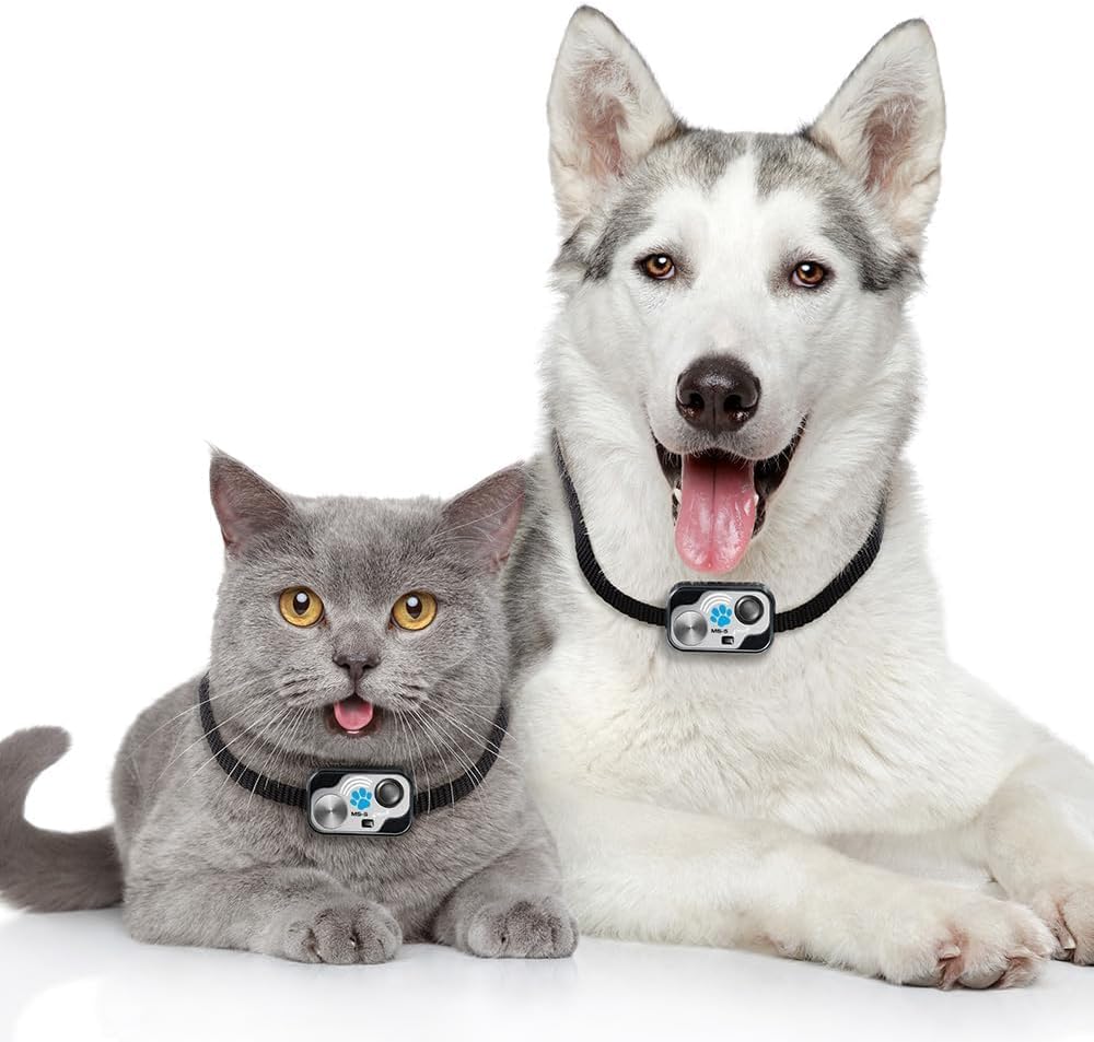 Genuine MS-5 Power Pet, Automatic Pet Door Collar by High Tech Pet Brand. Includes 2 Free Batteries