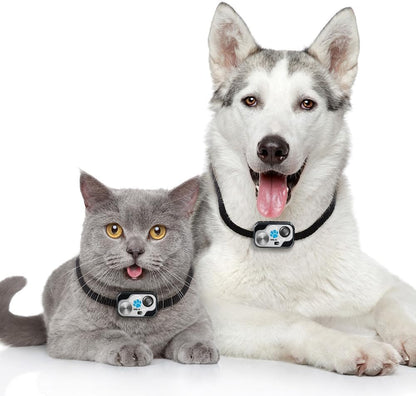 Genuine MS-5 Power Pet, Automatic Pet Door Collar by High Tech Pet Brand. Includes 2 Free Batteries