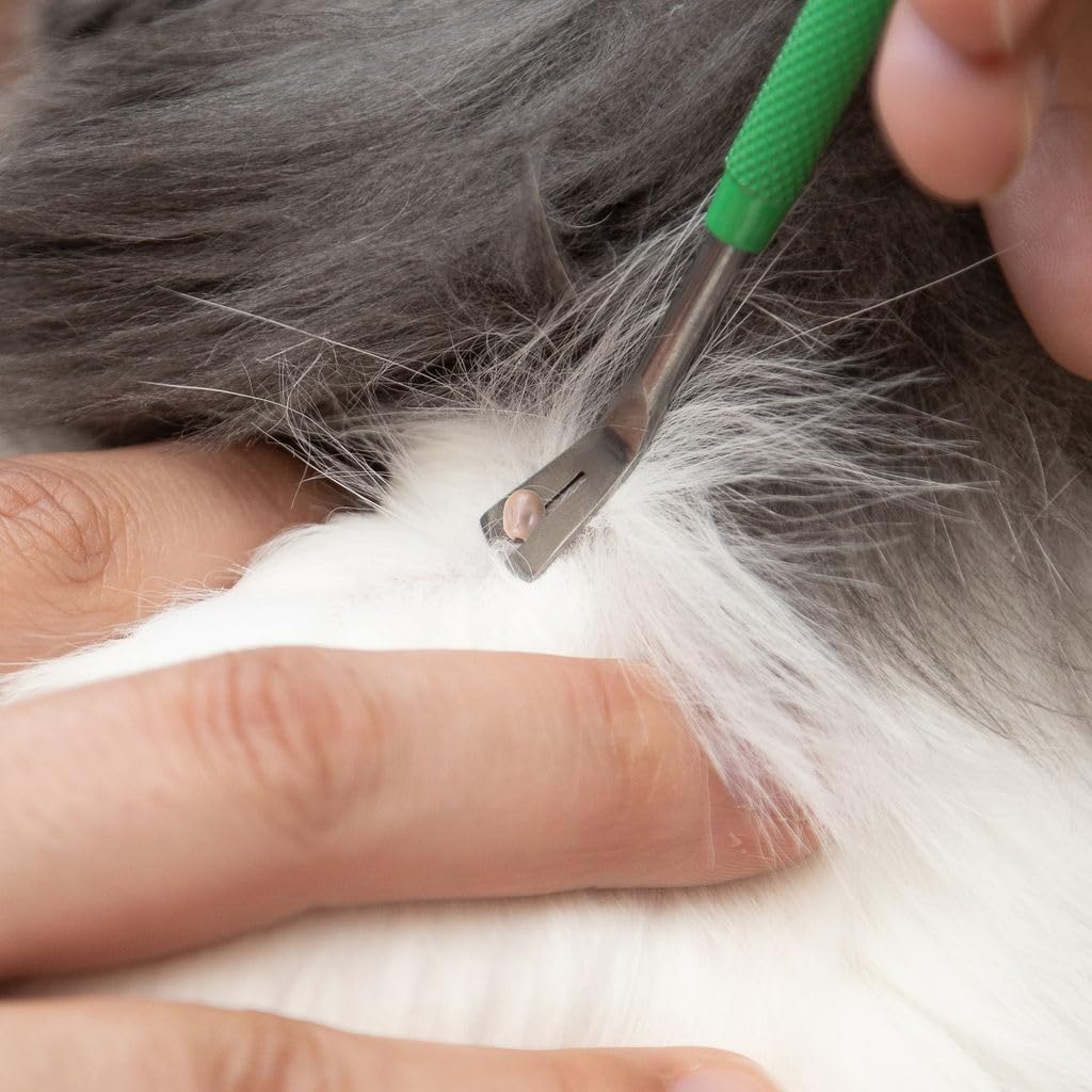 TickCheck Premium Tick Remover Kit - Stainless Steel Tick Remover + Tweezers, Leather Case, and Free Pocket Tick Identification Card (1)