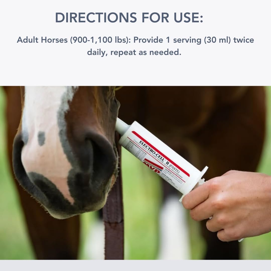 MVP Electro-Cell II Electrolyte Paste (2 dose tube) with probiotics for Horses