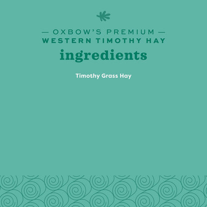 Oxbow Western Timothy Hay, Guinea Pig Hay, Small Pet Bunny Supplies, All Natural Grass for Guinea Pig, Bunny, Chinchilla & Hamster, Oxbow Rabbit Supplies for Bunnies, 90 oz. bag