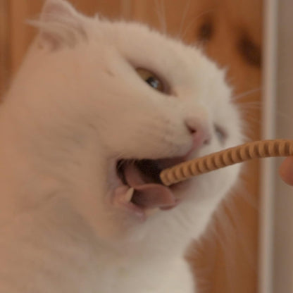 CATZZLE Cat Treats, Dental Chews for Indoor Cats, Cat Teeth Cleaning, Dental Care Snacks - Hairball Control (Salmon Flavor) (5 Sticks (Pack of 1))