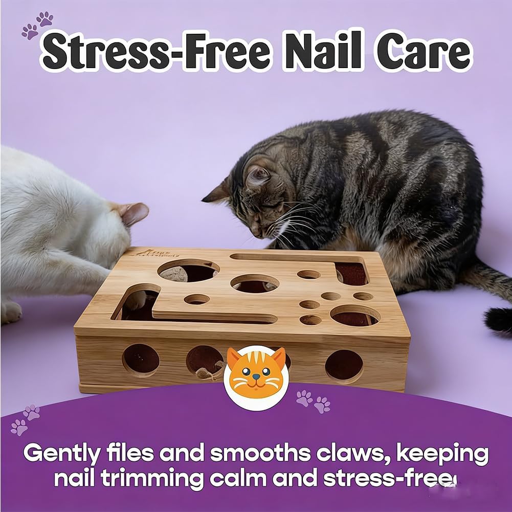 2026 New Cat Scratch Puzzle Enrichment Box: Nail File Stress Free Alternative to Clippers and Grinders, Cat Nail File Enrichment Box with Sandpaper Inside Bell Ball for Indoor (2pcs-B)