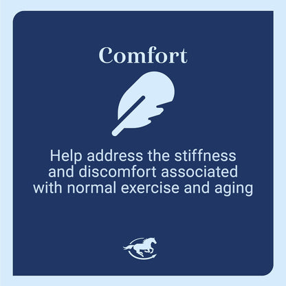 Senior Support SmartPak | Prebiotics and Probiotics | Turmeric Supplement | Flax Seed for Skin & Coat Health | Antioxidant Support for Senior Horses | 28 Days Supply