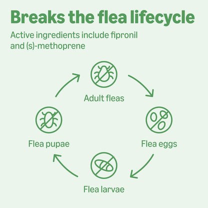 Amazon Basics PreventativeFlea and Tick Topical Treatment for Cats (Over 1.5 Pounds), 6 Count