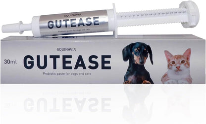 Equinavia GutEase Digestive Support Paste for Dogs & Cats – with Probiotics, Prebiotics, Glutamine, and Pectin – Easy Oral Supplement in 15ml or 30ml Syringe - 1 oz (30 ml) - 1 oz
