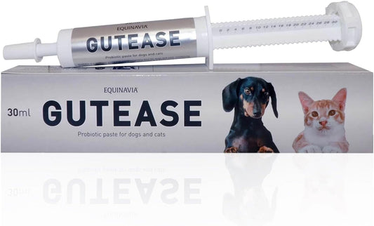 Equinavia GutEase Digestive Support Paste for Dogs & Cats – with Probiotics, Prebiotics, Glutamine, and Pectin – Easy Oral Supplement in 15ml or 30ml Syringe - 1 oz (30 ml) - 1 oz