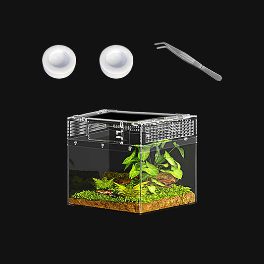 Reptile Mini PC Terrarium Amphibian Tank, 8"x8"x6"Jumping Spider Enclosure Multi-Habitat Reptile Terrarium for Tarantula, Hermit Crab, Insect, Fish, Frog, Small Bearded Dragon, Lizard