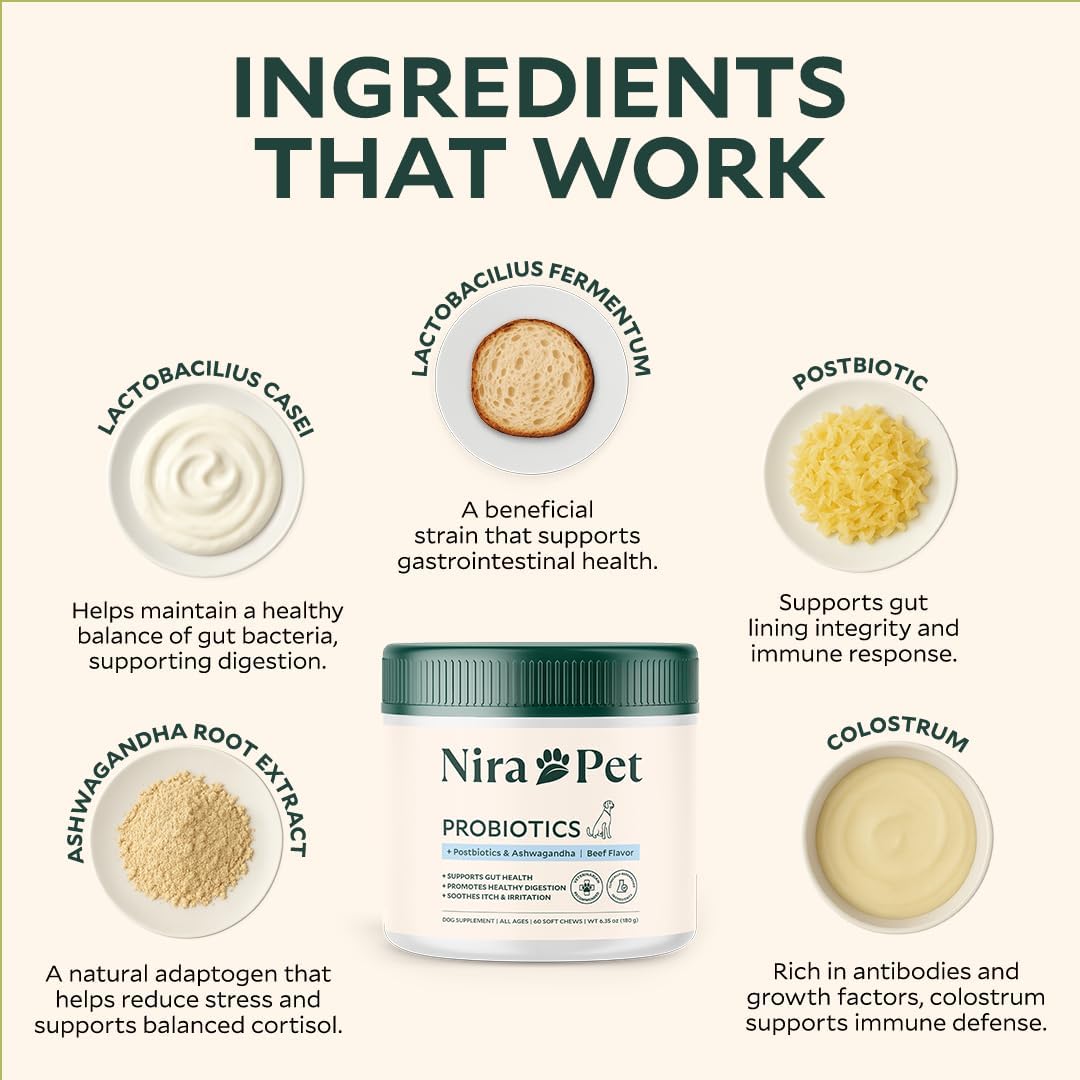 Probiotics for Dogs – 60 Beef-Flavored Chews with Postbiotics, Colostrum, Ashwagandha & Lactobacillus – Supports Gut Health, Immunity, Diarrhea, Gas & Stress