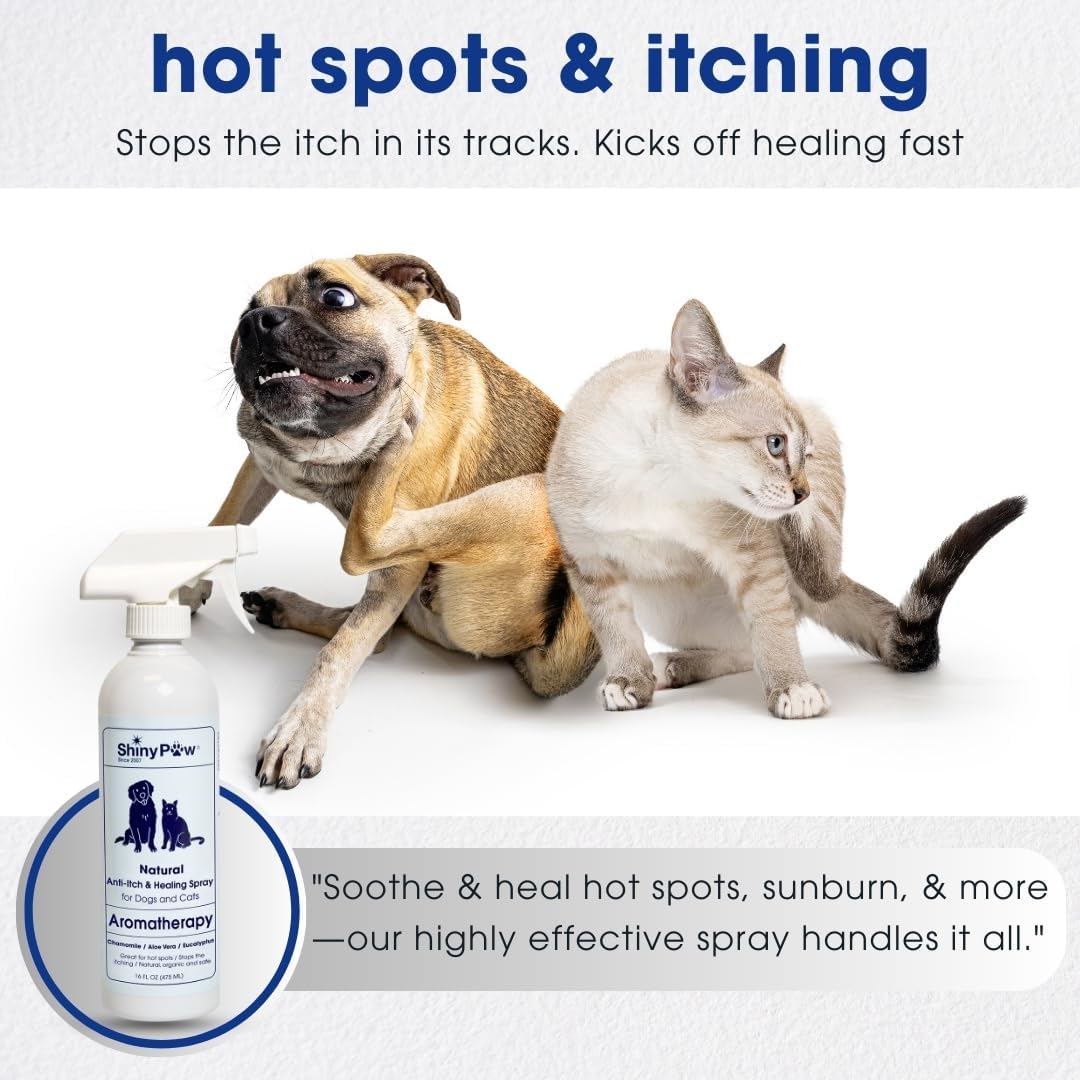 Dog Itch Relief Spray by Shiny Paw 16 oz | Aloe Vera & Eucalyptus Skin Itch Remedy | Dog Hot Spot Spray | Natural Anti Itch Spray for Pets | Dog Itchy Skin Relief | Made in USA