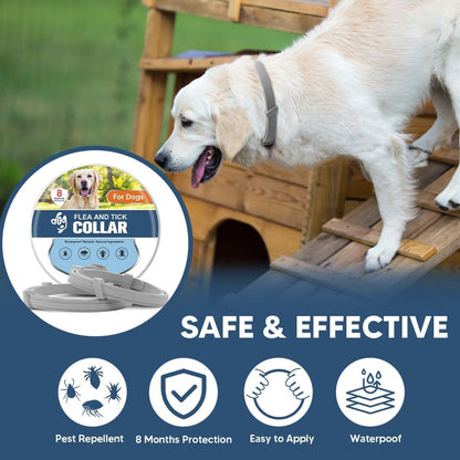 Flea Collars for Dog, Flea & Tick Collar for Dogs, Tick Collar for Large Dogs, Upgraded Sturdy & Adjustable 8 Months Prevention-Pack of 2