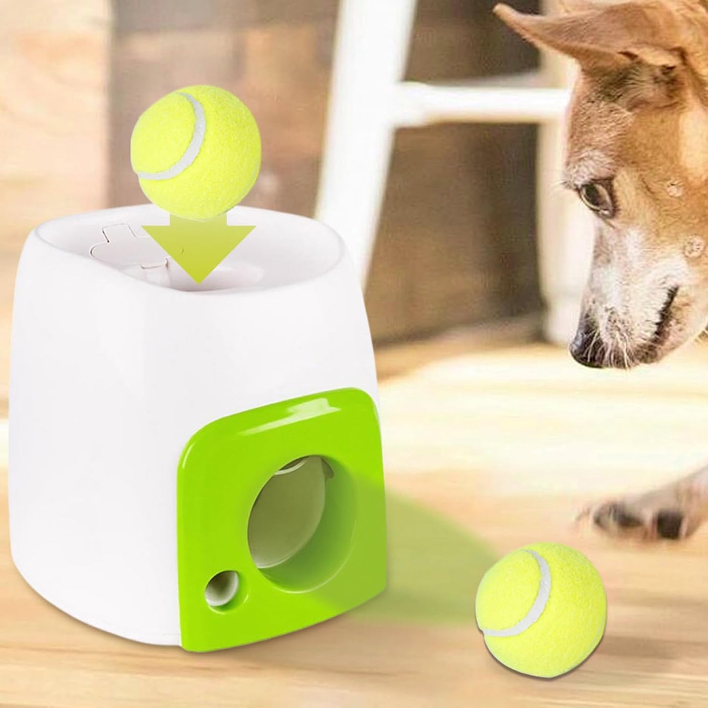 Dog Ball Launcher Launcher,Automatic Dog Ball Launch,Automatic Dog Tennis Ball Launch - Toy Training Reward Machine in