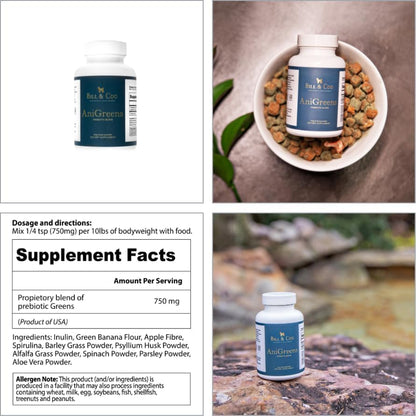 BILL & COO Complete Pet Wellness Bundle – Probiotic & Prebiotic Gut Support + NAD Immune Booster – Daily Digestive & Cellular Health Supplements for Dogs & Cats – Natural Powder Formula, 3-Pack