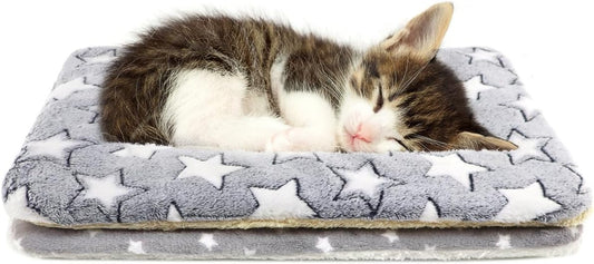 2 Pack Cat Blanket for Indoor Cats Ultra Soft and Warm Calming Cat Bed Fleece Pet Mat for Anxiety and Stress Washable Kitten Blanket