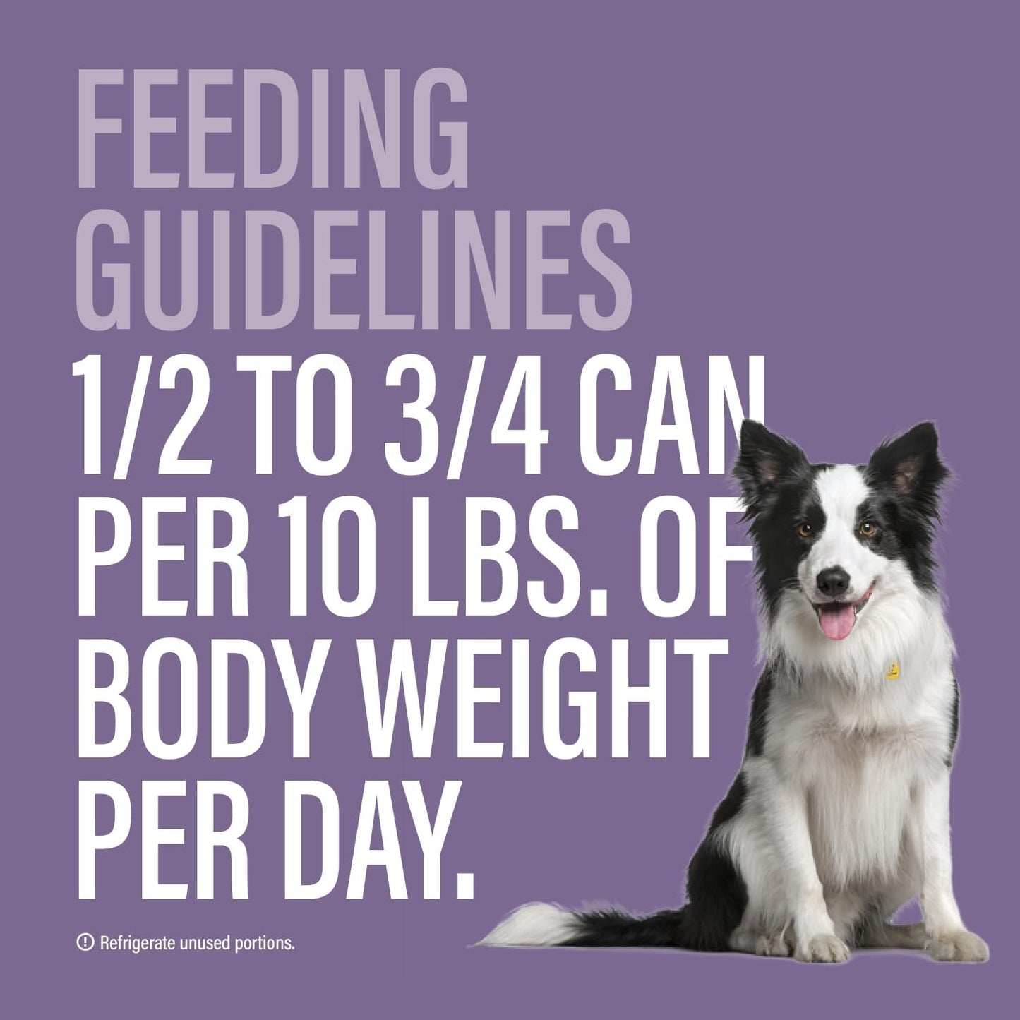 Chewer's Joy High Protein Wet Dog Food – Grain Free, No by-Products, No Gums – Natural Pâté – Real Chicken, Beef & Salmon – 12 Pack, 3oz Cans Variety Pack