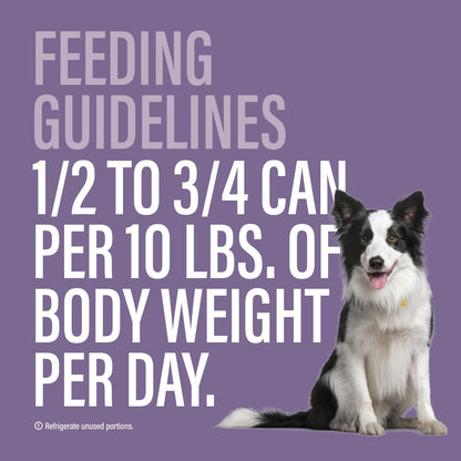 Chewer's Joy High Protein Wet Dog Food – Grain Free, No by-Products, No Gums – Natural Pâté – Real Chicken, Beef & Salmon – 12 Pack, 3oz Cans Variety Pack