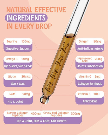 Lysine for Cats & Collagen for Cats - Respiratory, Sneezing, Runny Nose, Eye Function - Hip & Joint, Digestive & Immunity Support - with L-Lysine, Astragalus, Collagen, MSM - Roast Chicken Flavor