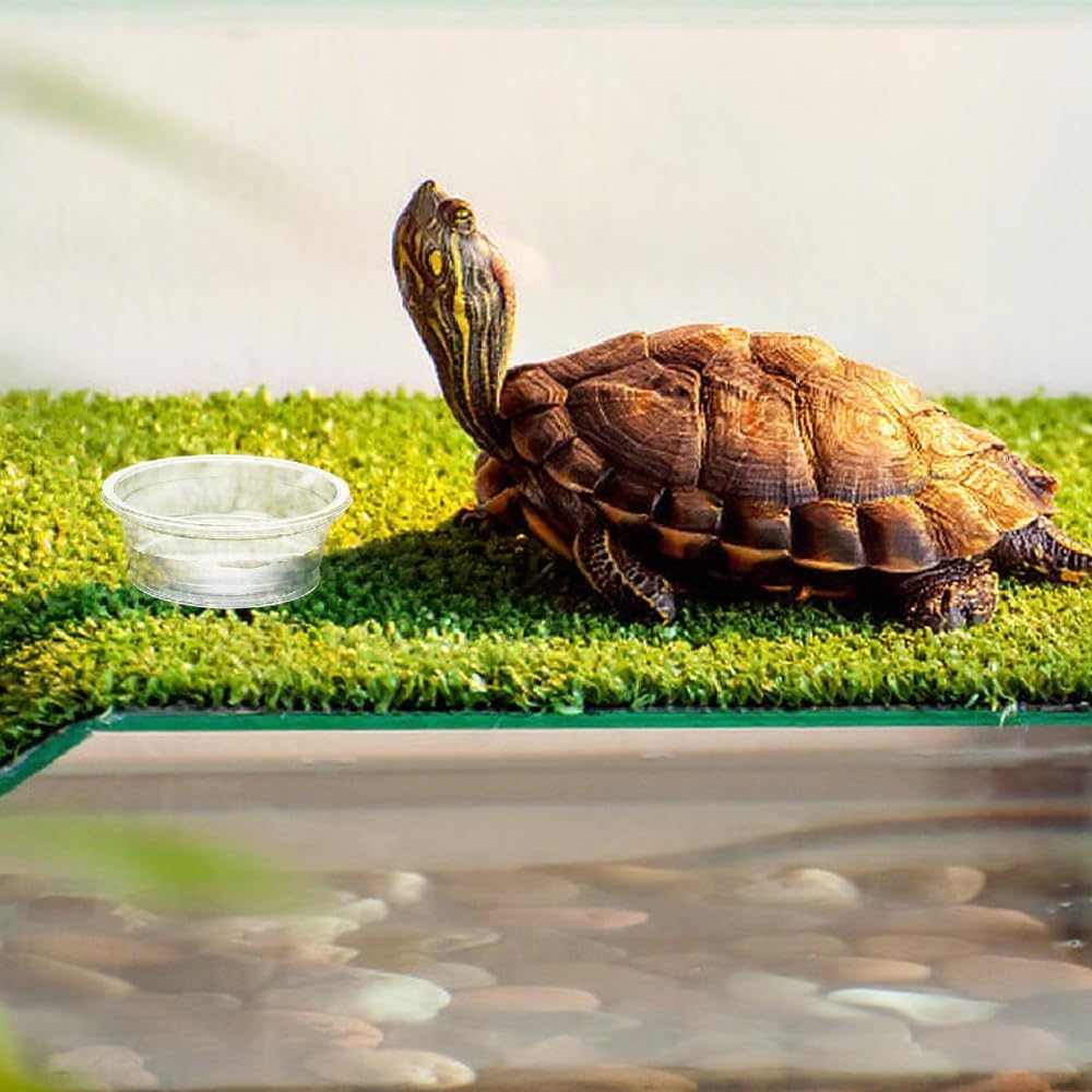 100 Pcs Gecko Food and Water Cups Small Plastic Feeder Cups Reptiles Accessories Reptile Water Bowl Gecko Food Cups Reptile Feeding Bowls for Gecko Lizards Tarantula and Other Small Pets (0.5oz)