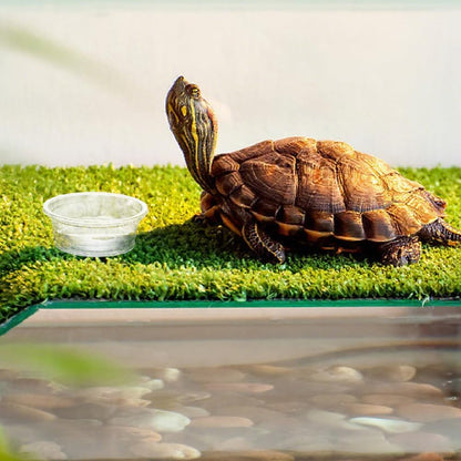 100 Pcs Gecko Food and Water Cups Small Plastic Feeder Cups Reptiles Accessories Reptile Water Bowl Gecko Food Cups Reptile Feeding Bowls for Gecko Lizards Tarantula and Other Small Pets (0.5oz)