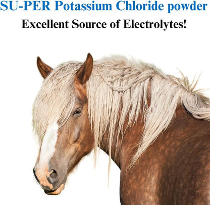 SU-PER Potassium Chloride Horse Electrolyte Supplement - Helps Maintain Normal Electrolyte Balance - 4 Pound, (2 Pack)