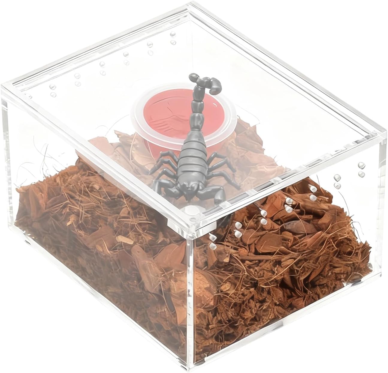 Frog Enclosure - Transparent Breeding Feeding Tank - Acrylic Small Terrarium,for Lizard Frog Gecko Snail Turtle Observation Breeding Feeding