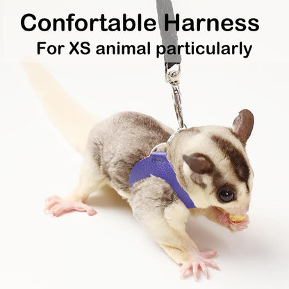 Meow&Woof Sugar Glider Bonding Pouch & Small Animal Carrier+ 3 Pack Sugar Glider Harness and Leash Set