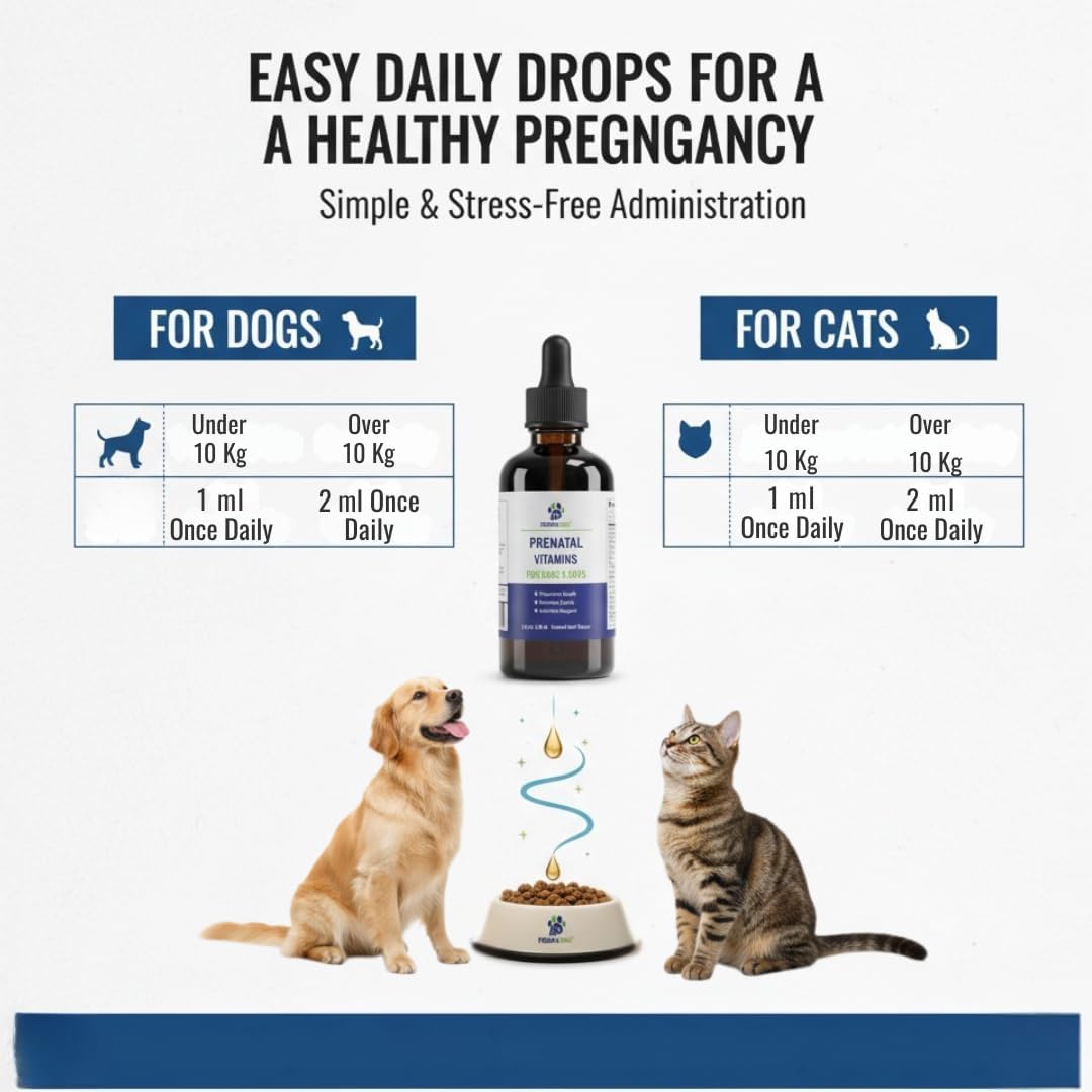 Liquid Prenatal Vitamins for Dogs & Cats - Folic Acid, Calcium & Iron Drops - Essential Support for Dog Pregnacy, Breeding & Lactation - Healthy Litter Growth - Beef Flavor, 60 ml