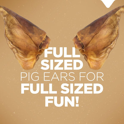 Natural Farm Pig Ears for Dogs (8-Count), One Ingredient: Natural Whole Pigs Ears, Air Dried, Long-Lasting & Highly Digestible Treats, Great for Puppy and Large/Medium Dogs