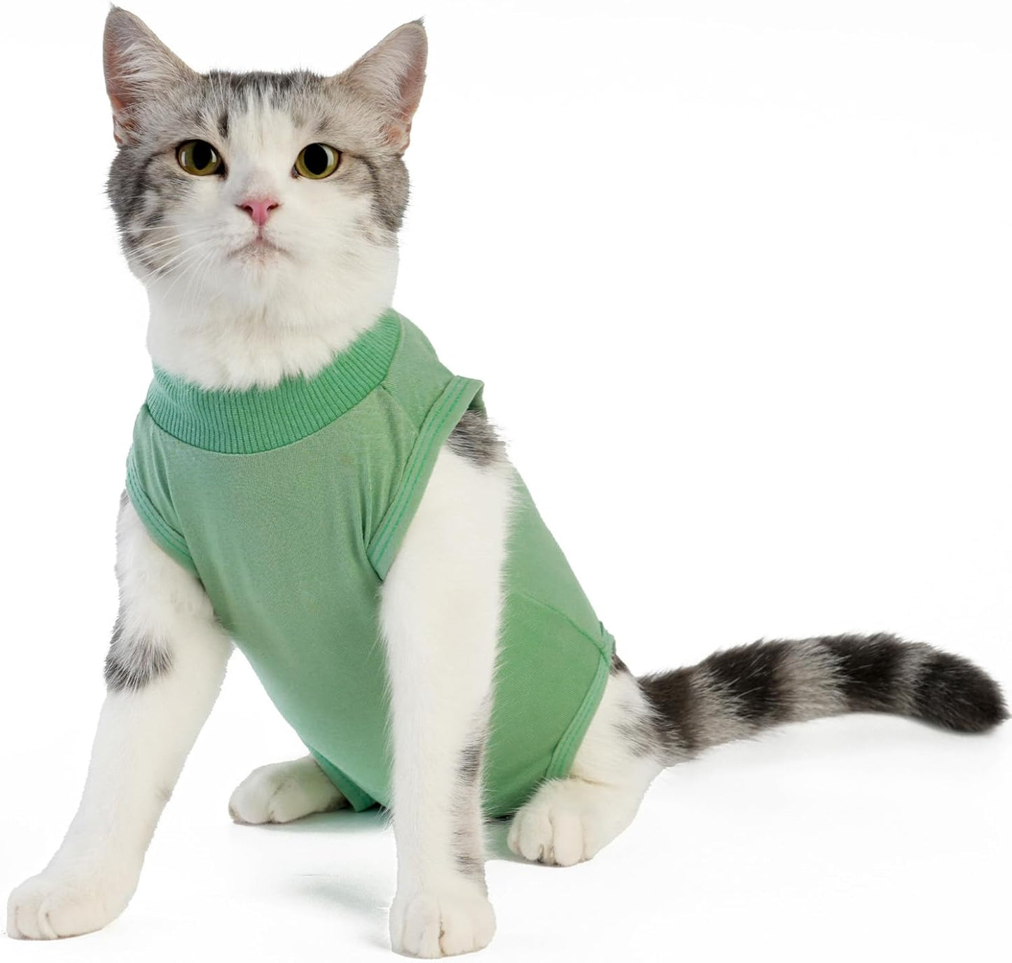 Cat Recovery Suit Cat Surgery Onesie for Female Male Cats After Surgery Spay Surgical Abdominal Wound Skin Diseases E-Collar Alternative Wear(Green, Medium)