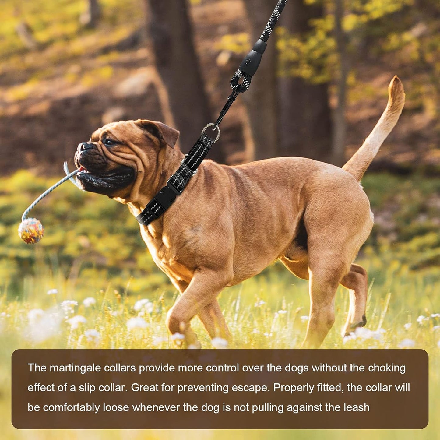 Hikiko Martingale Collar for Dogs Reflective Nylon Dog Collar with Quick Release Buckle Adjustable Training No Slip Dog Collar (Large, Black)