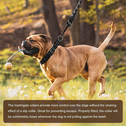 Hikiko Martingale Collar for Dogs Reflective Nylon Dog Collar with Quick Release Buckle Adjustable Training No Slip Dog Collar (Large, Black)