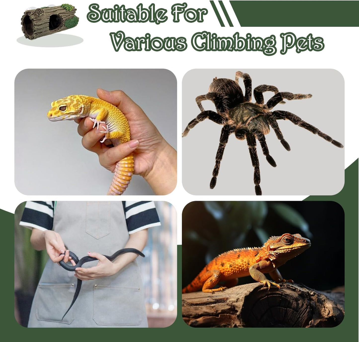 Reptile Hide, Resin Hollow Log Cave with Two Strong Suction Cups,Gecko Tank Accessories Climbing Toy– Climbing Decoration and Hideout for Lizards, Geckos, Snakes, Hermit Crabs, and Frogs