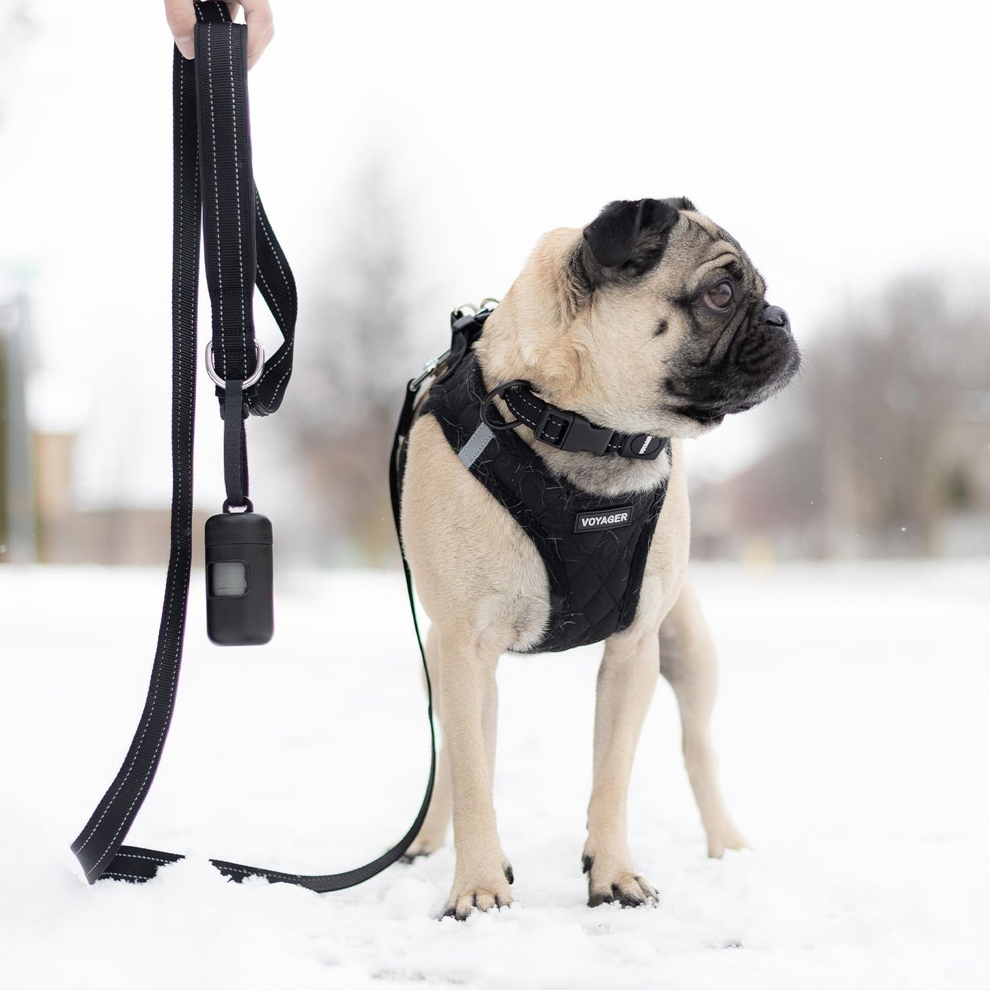 Best Pet Supplies Voyager Reflective Dog Leash with Neoprene Handle, Supports Small, Medium, and Large Breed Puppies, Cute and Heavy Duty for Walking, Running - Black, M, 3/4" x 5ft (LS015T-BK-M)