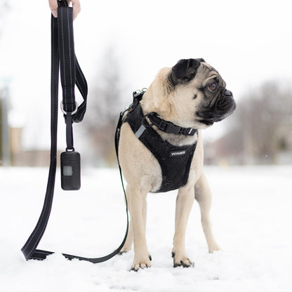 Best Pet Supplies Voyager Reflective Dog Leash with Neoprene Handle, Supports Small, Medium, and Large Breed Puppies, Cute and Heavy Duty for Walking, Running - Black, M, 3/4" x 5ft (LS015T-BK-M)