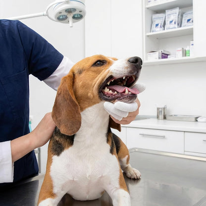 Dog Toothbrush Finger Toothbrush Set 60 PCS Soft Finger Toothbrushes for Dog Teeth Cleaning Washable Pet Dental Care Kit with Cleaning Wipes for Small Dogs Cats Puppies & Kittens at Home