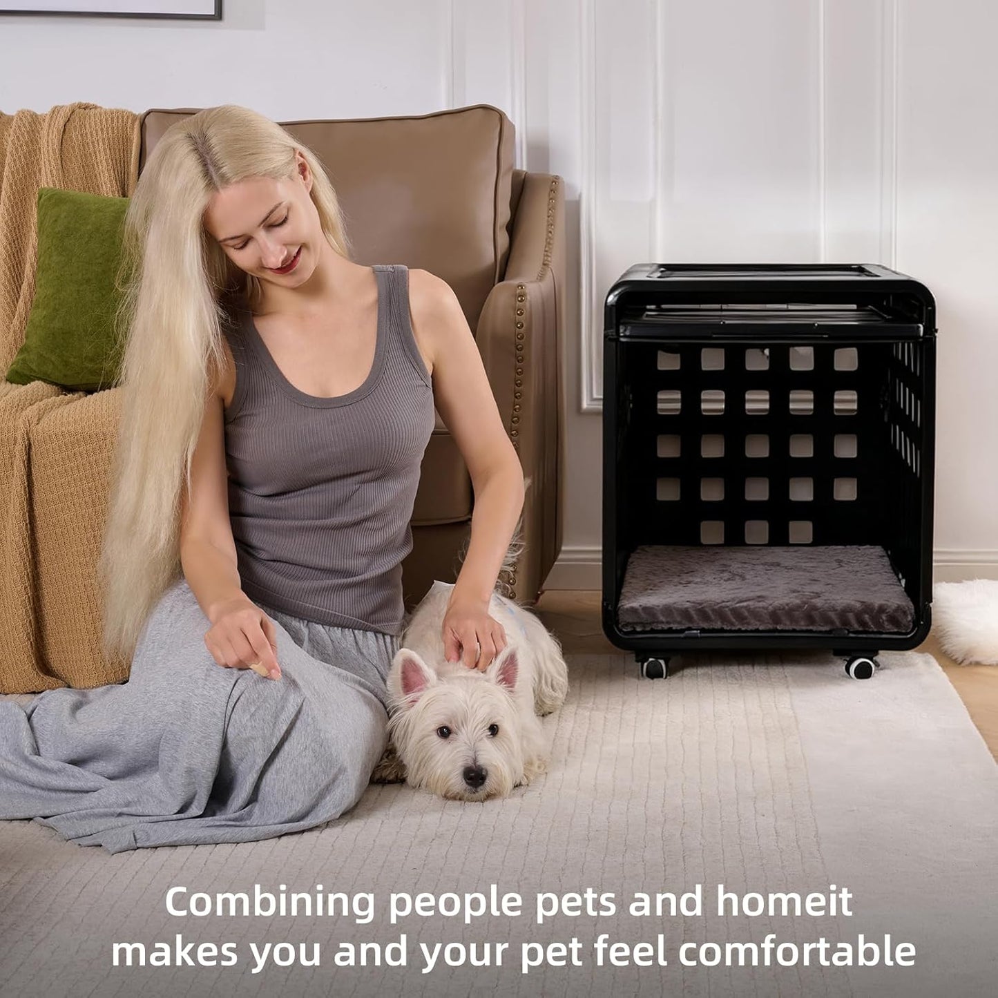 Acrylic Transparent Dog Box, Durable Dog Bed with Movable Panel and Modular Design - Safe, Fashionable and Convenient (Black, Semi-Transparent(26.2" L x 20" W x 23.4" H))