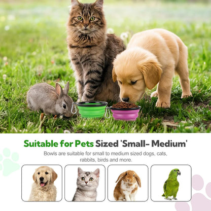 Collapsible Dog Bowl 2 Pack, Dog Water Bowls for Travels, Portable Foldable Pet Bowls Feeding Watering Dish for Parking Walking Camping with 2 Carabiners Clip (12oz, Small, Green+Purple)