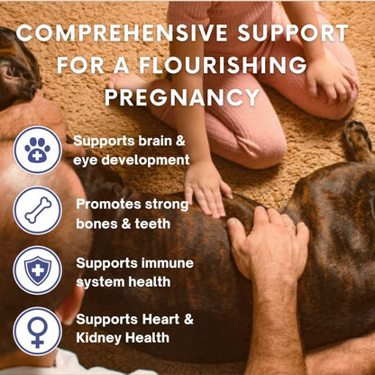 Omega 3 Fish Oil for Dogs & Cats | Dog Prenatal Vitamins | Joint Support | Brain & Heart Health | Pure EPA DHA Omega 3 for Dogs | 100 Soft Gels